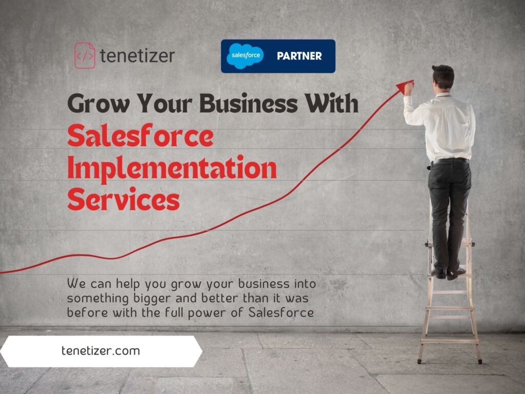 The Complete Salesforce Implementation Services & Consulting | Tenetizer