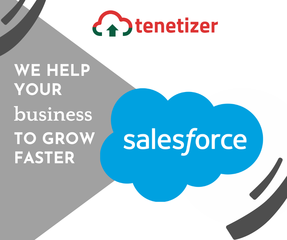 tenetizer-blog-salesforce
