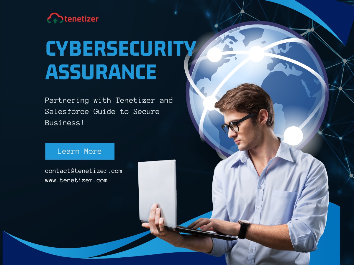 Cybersecurity Assurance: Partnering with Tenetizer and Salesforce Guide to Secure Business