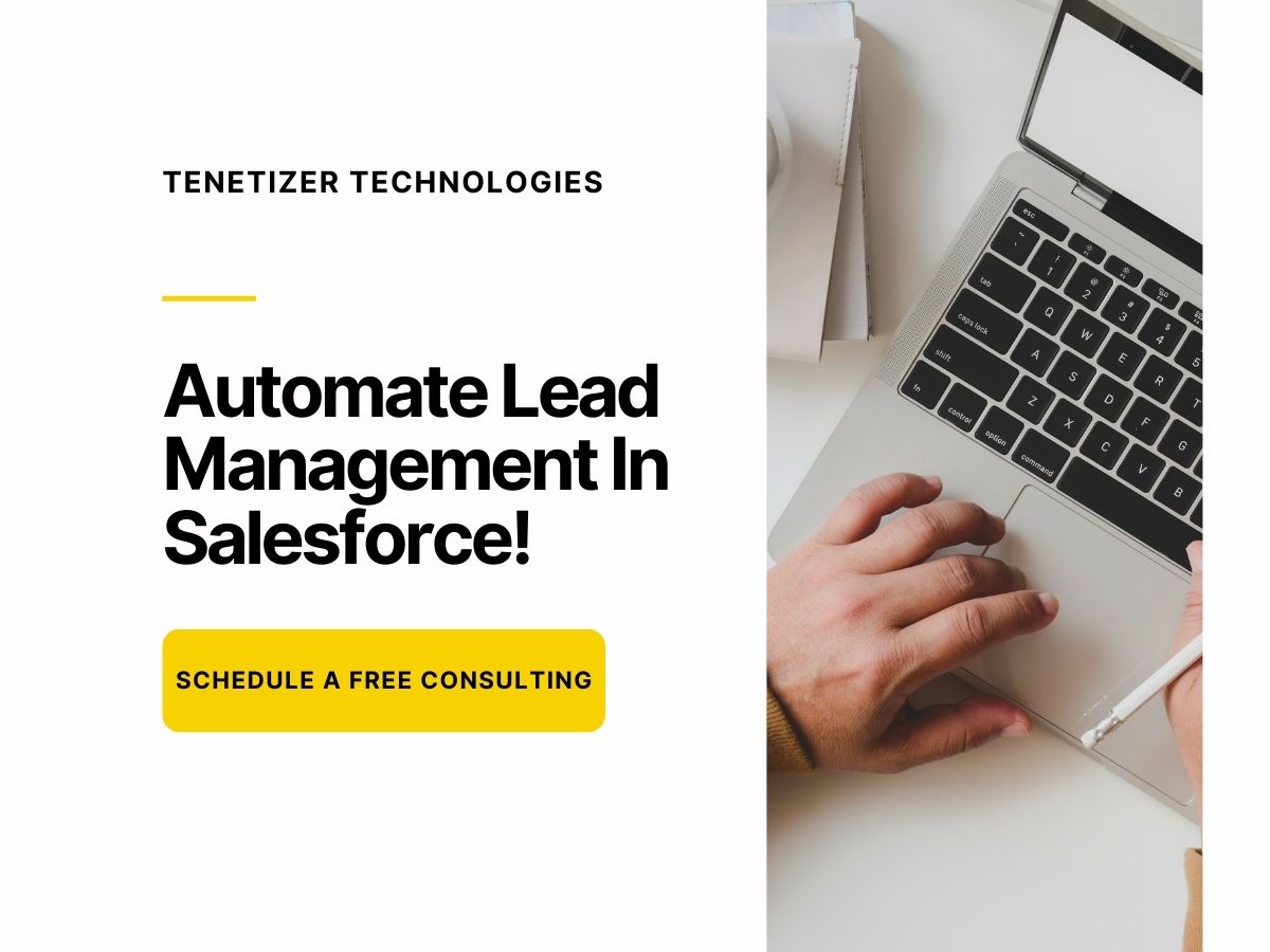 Tentizer Technologies _ Automate Lead Management In Salesforce