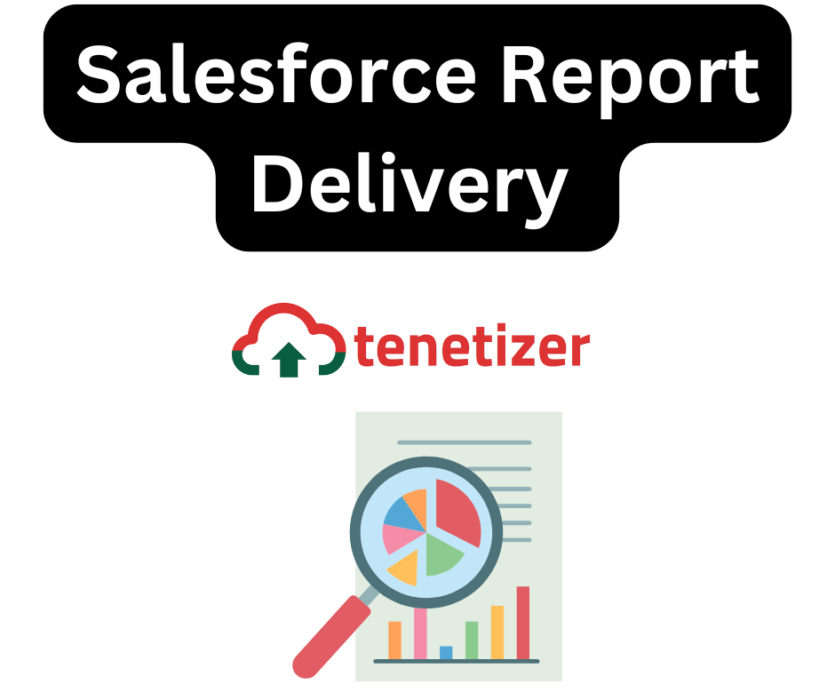 Tenetizer-Salesforce Report Delivery