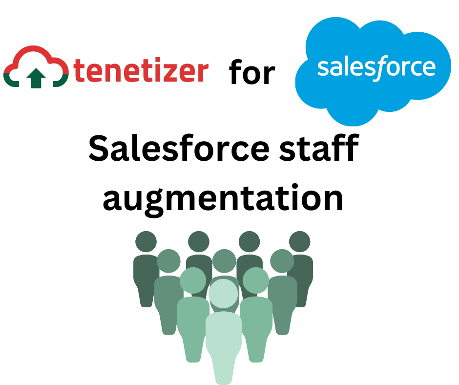 tenetizer-Salesforce staff augmentation