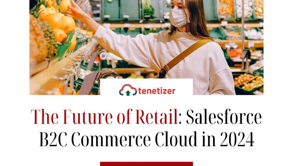 Tenetizer-commerce-cloud