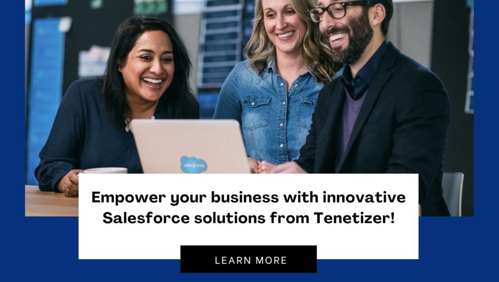 Tentizer Technologies _ salesforce solution