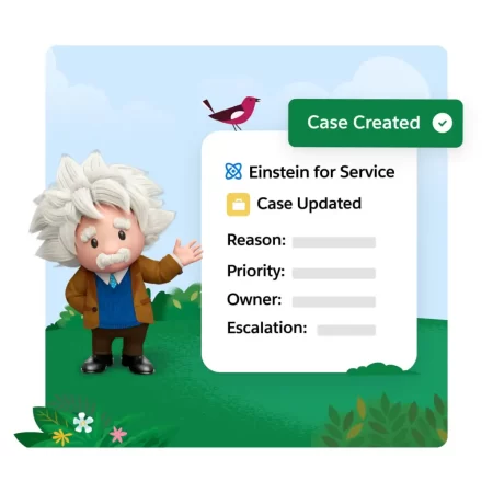 einstein-case-classifications