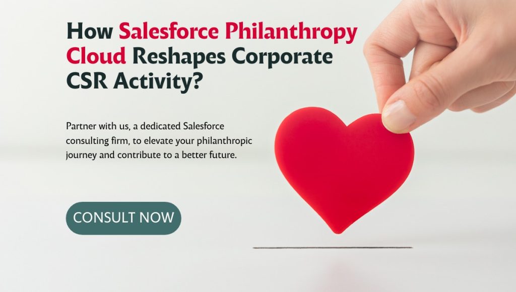 tenetizer-salesforce-philanthropy-cloud